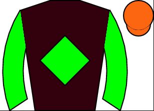 Horse silk