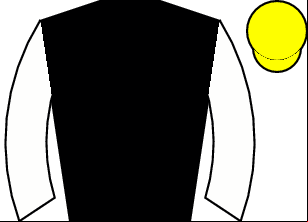 Horse silk