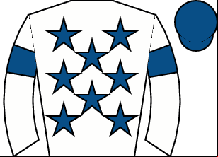Horse silk