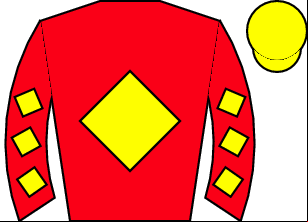 Horse silk