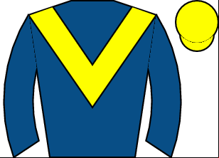 Horse silk