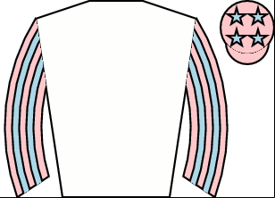 Horse silk
