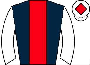 Horse silk