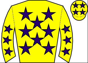Horse silk