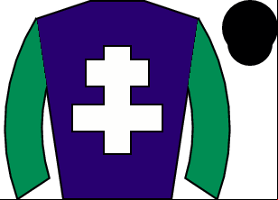Horse silk