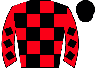 Horse silk