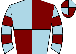 Horse silk