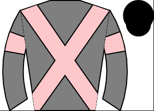 Horse silk