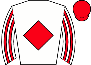 Horse silk