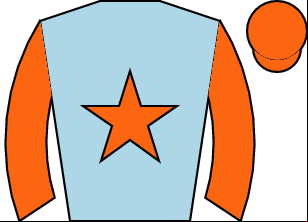 Horse silk