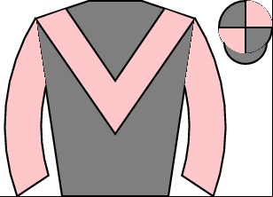 Horse silk