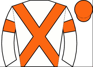 Horse silk