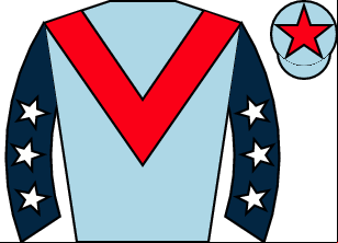 Horse silk