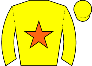 Horse silk