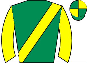 Horse silk