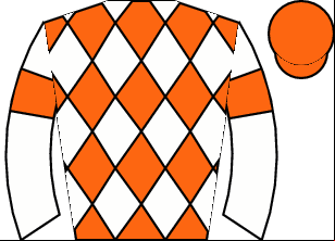 Horse silk
