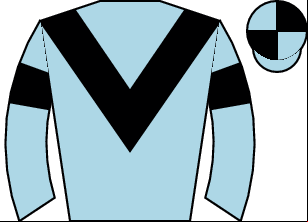 Horse silk