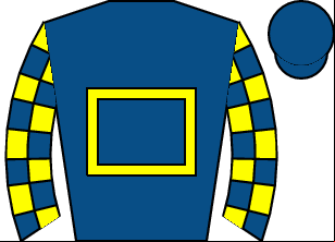 Horse silk