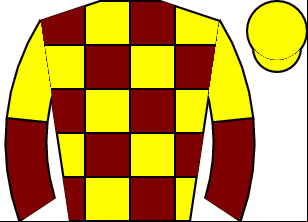 Horse silk