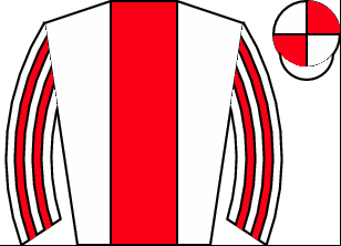 Horse silk