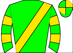 Horse silk