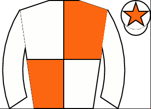 Horse silk