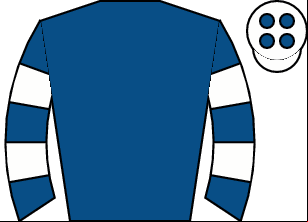 Horse silk