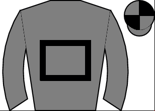 Horse silk