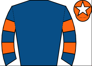 Horse silk