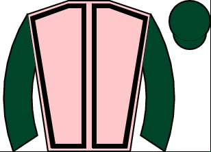 Horse silk