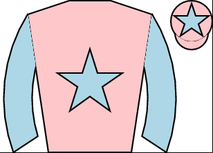 Horse silk