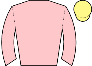 Horse silk