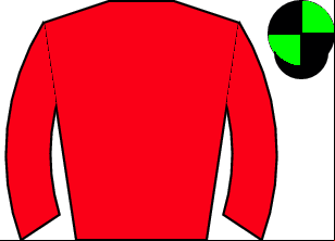 Horse silk