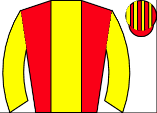 Horse silk