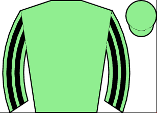 Horse silk