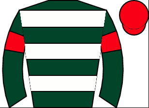 Horse silk