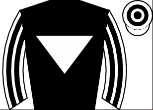 Horse silk