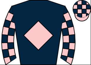 Horse silk