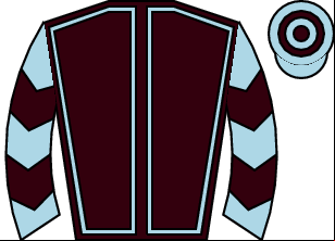 Horse silk