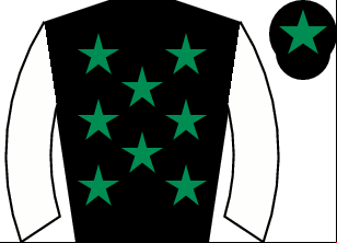 Horse silk