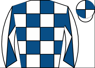 Horse silk