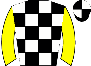 Horse silk