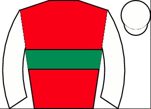 Horse silk