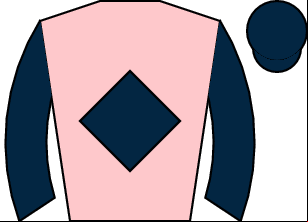 Horse silk