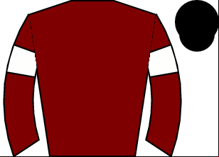 Horse silk