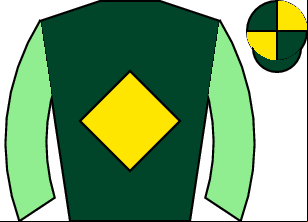 Horse silk