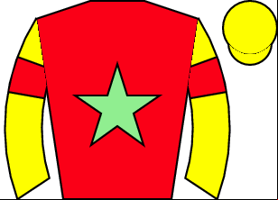 Horse silk