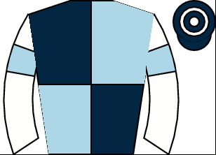Horse silk