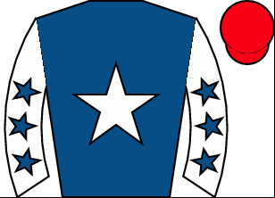 Horse silk