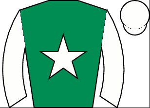 Horse silk